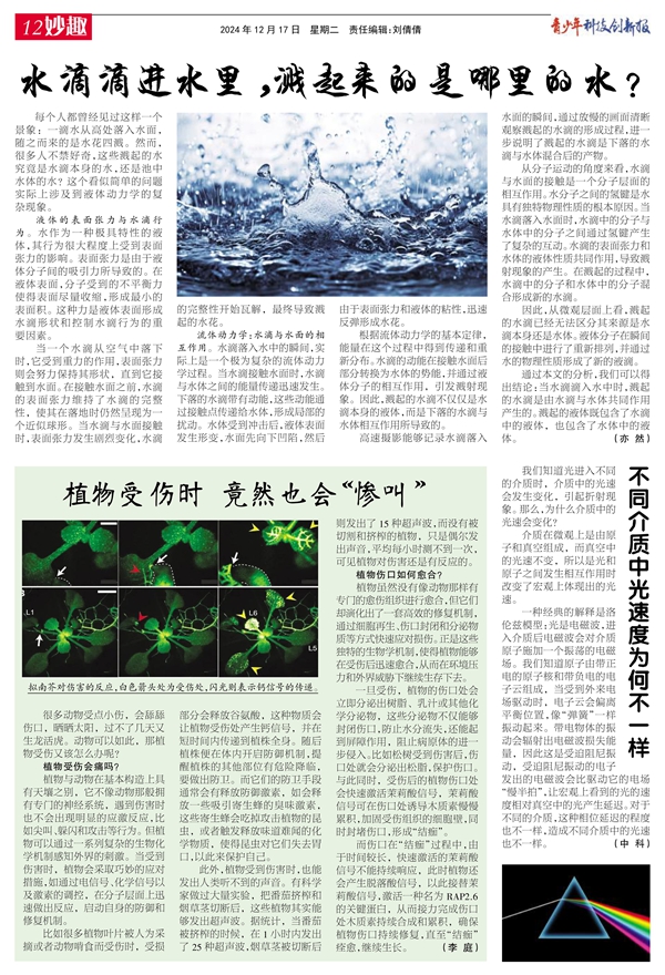 12妙趣.jpg