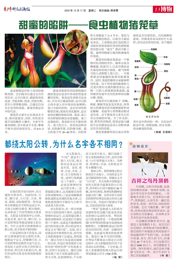 13博物.jpg