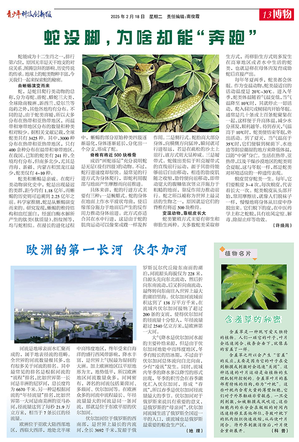 13博物.jpg