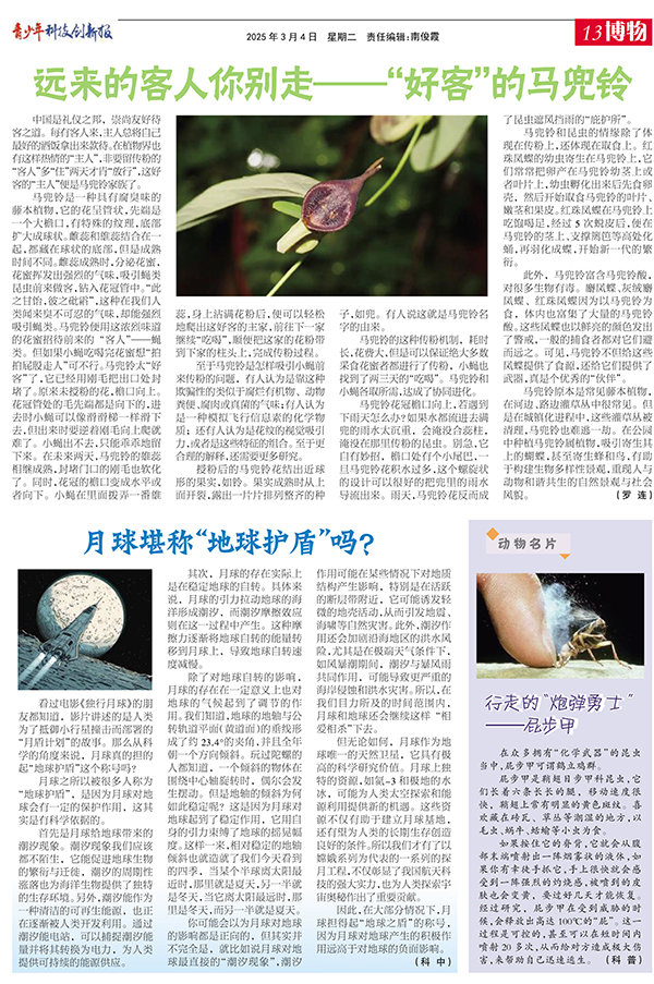 13博物.jpg