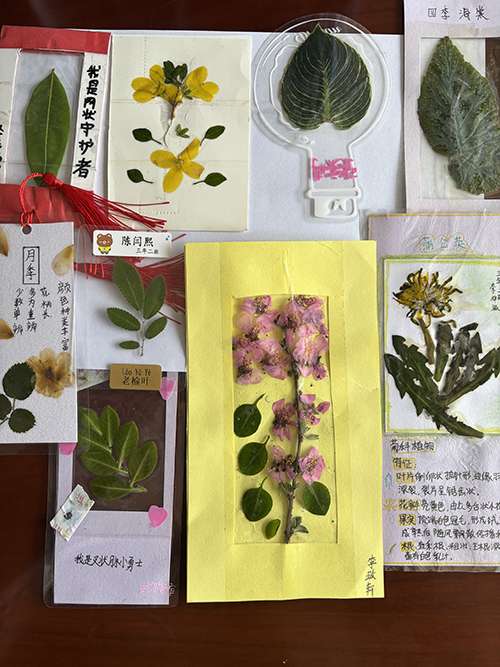 851f588031a4442690482fa3d9412270.jpg 微信图片_20250408140955.jpg