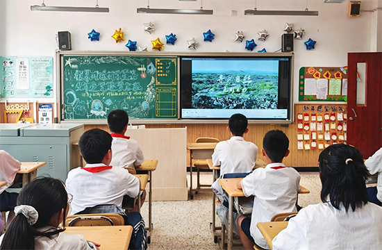 b738242c62bc42f8a03e4c85186dc6c7.png 图片1.png