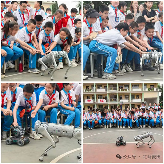 24b2b9046848438f8de05d454d4428f8.jpg 微信图片_20250603103316.jpg