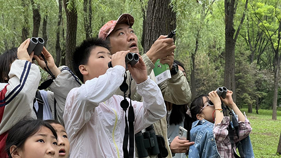 82ac0265c3e842f987172292a1fbcc9a.png 图片1.png