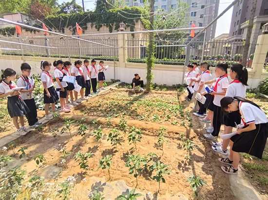 0b2233cdf73248a2a1dcfa3faf38c2d4.jpg 微信图片_20250630092752.jpg