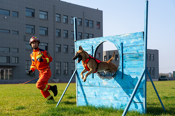 16b8ce875b344598a03eab76dab1a2ac.jpg 微信图片_20251110165727_61_195.jpg