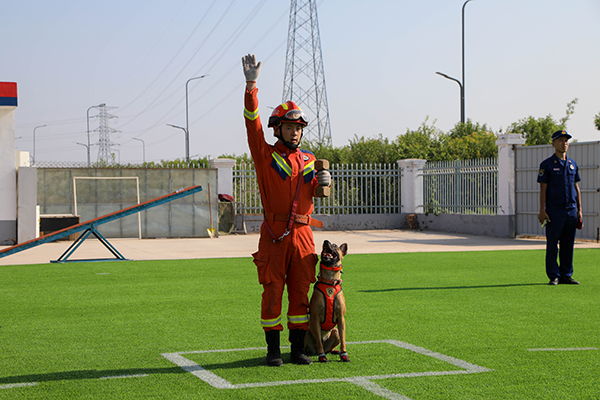 训导员杨孟余与搜救犬“红利”：七年“战友” 一生“亲人”