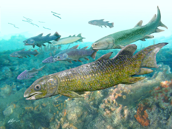 88dc54e208654081950b2752add9b493.jpg 云南古嵴鱼生态复原图。.jpg